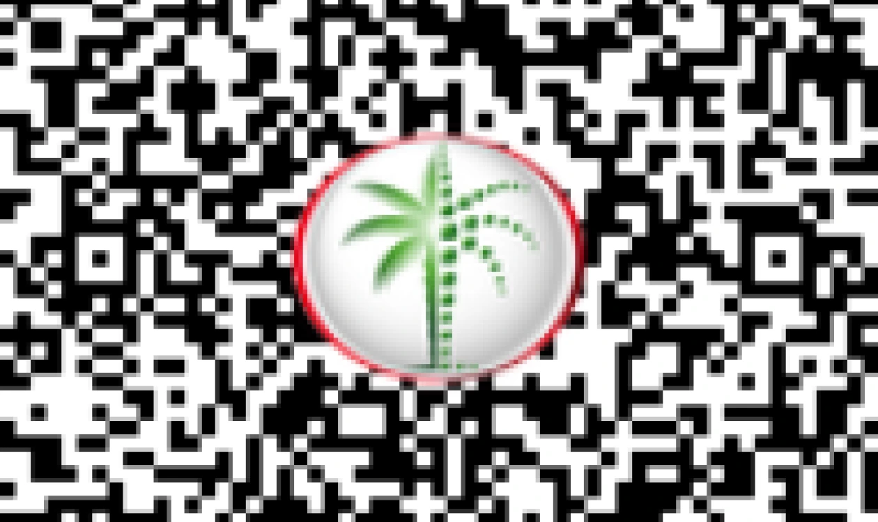 DLD QR