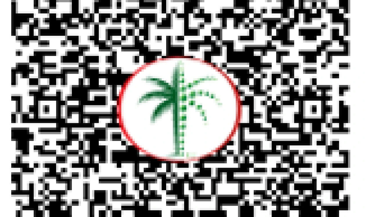 DLD QR