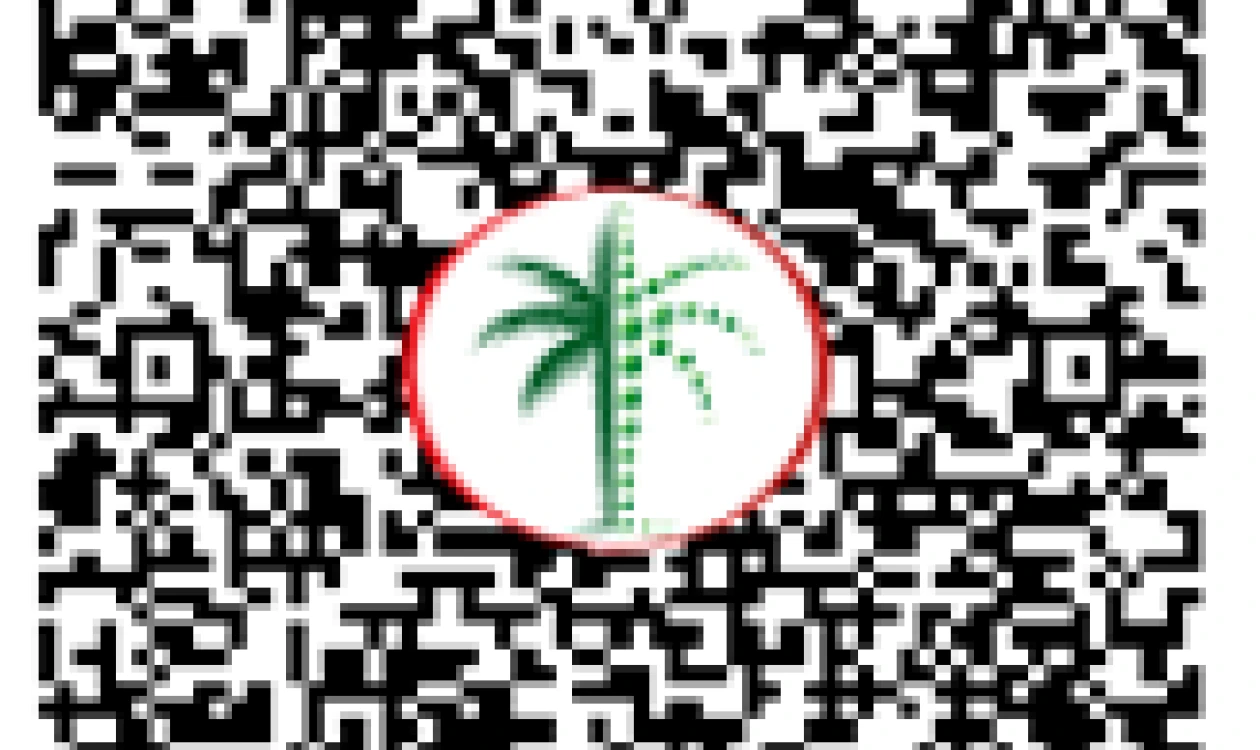 DLD QR