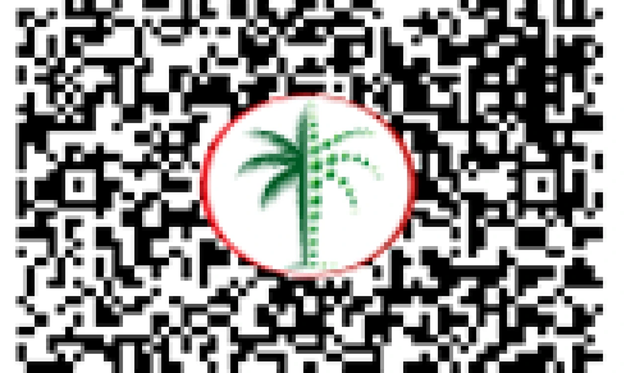 DLD QR