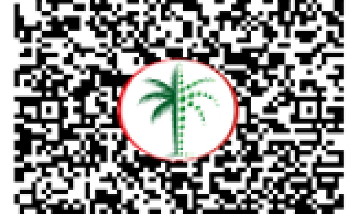 DLD QR