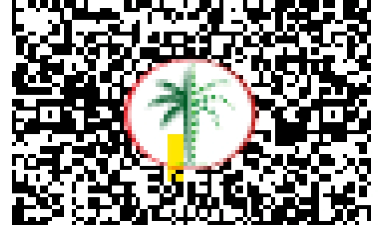 DLD QR