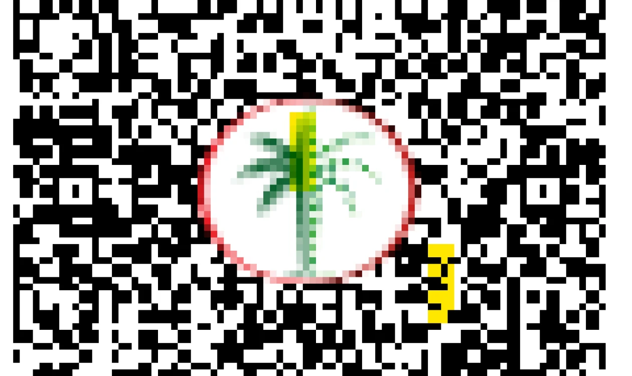 DLD QR