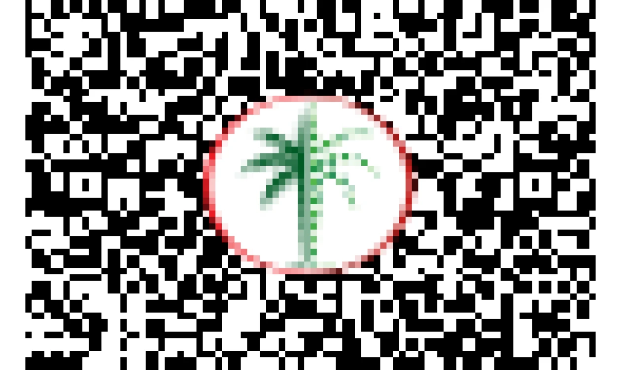 DLD QR