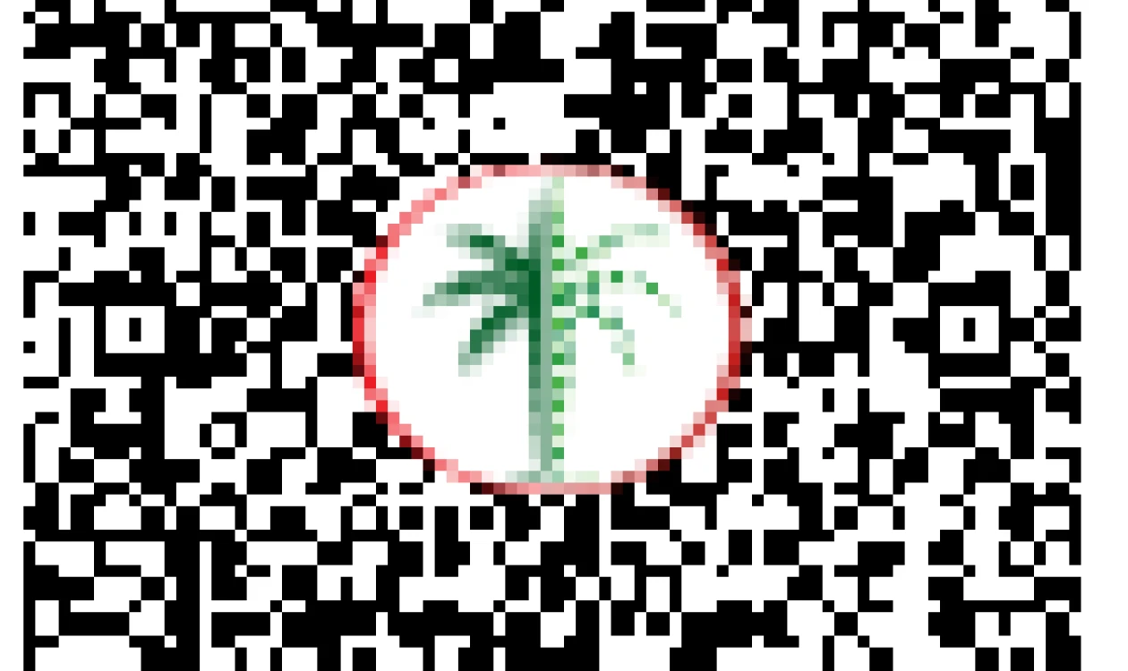 DLD QR